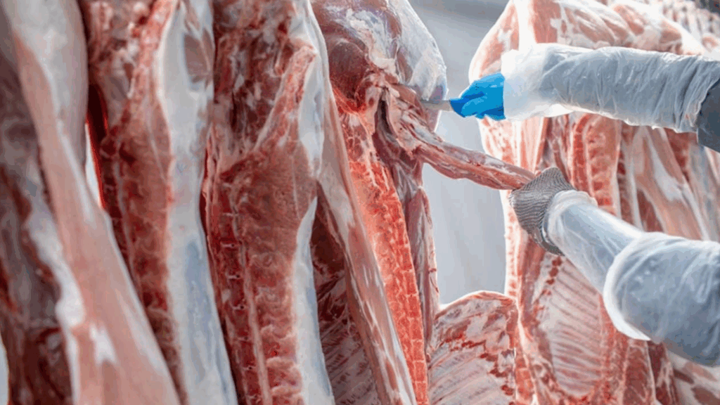 clausen-meat-co-meat-cutting-cooler-deboning