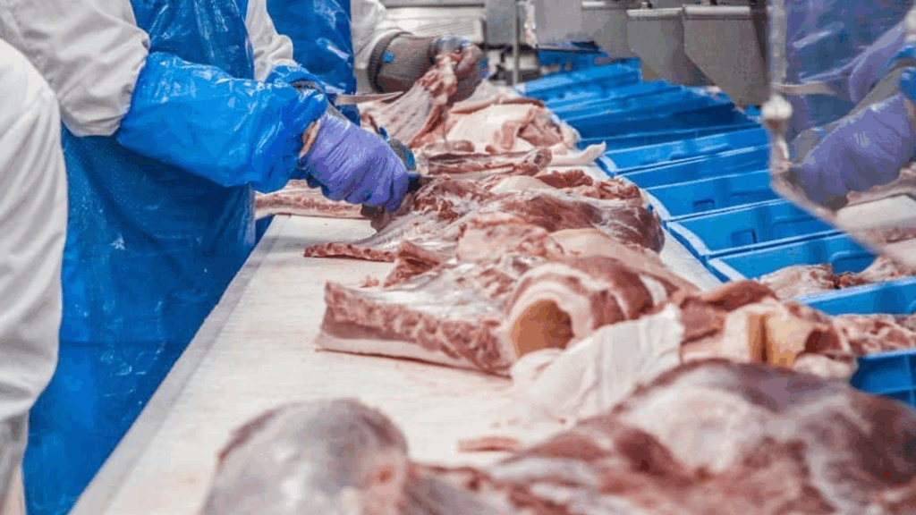 clausen-meat-co-meat-cutting-line